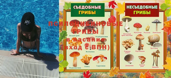 ешки Балахна