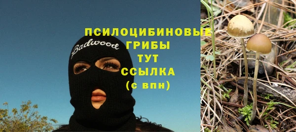 тгк Балабаново