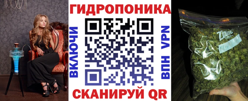 Конопля ГИДРОПОН omg как войти Горно-Алтайск